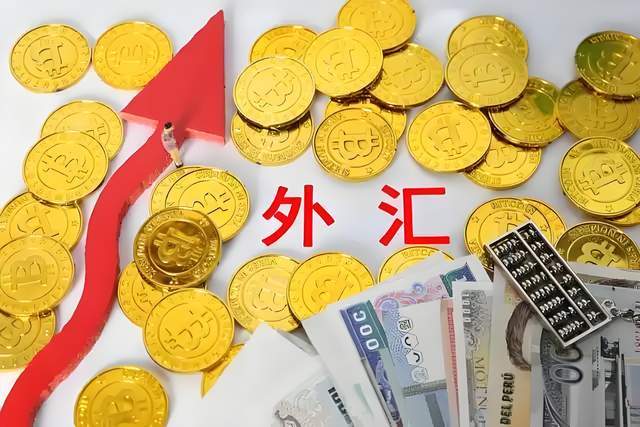 人民币汇率波动_央行调控策略_外汇汇率 外贸