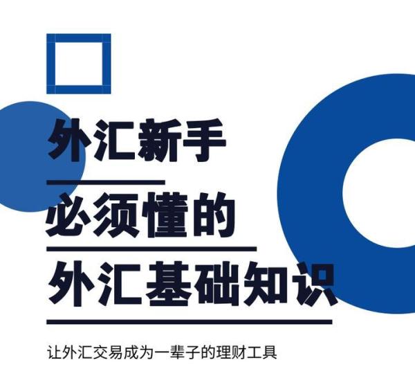 即期外汇交易与远期外汇交易_外汇交易风险管理策略_外汇新手基础知识
