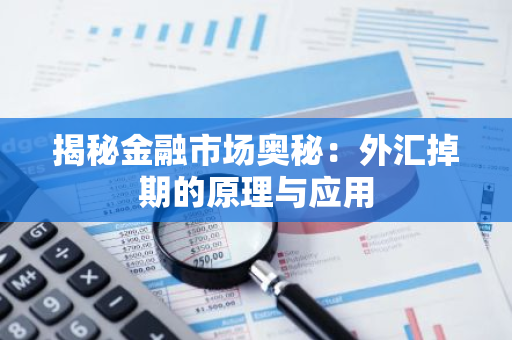 外汇掉期的作用_外汇利率掉期业务_外汇掉期的定义