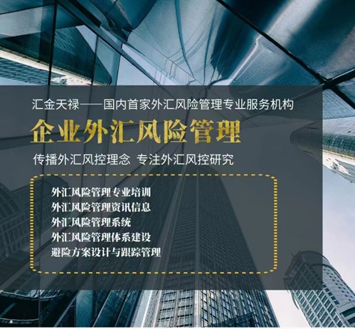 人民币汇率走势分析_外汇风险管理案例_外贸企业外汇风险管理